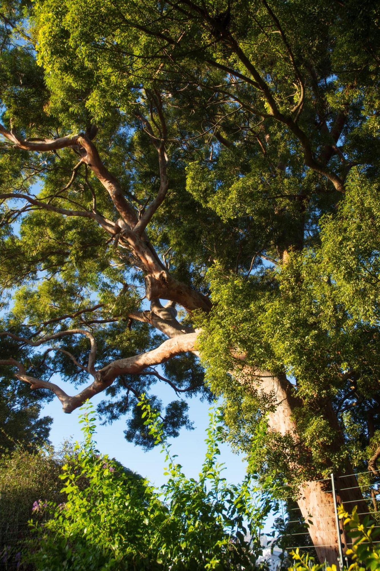 Avemore Wag N Bietjie No 1 Stellenbosch Exteriér fotografie