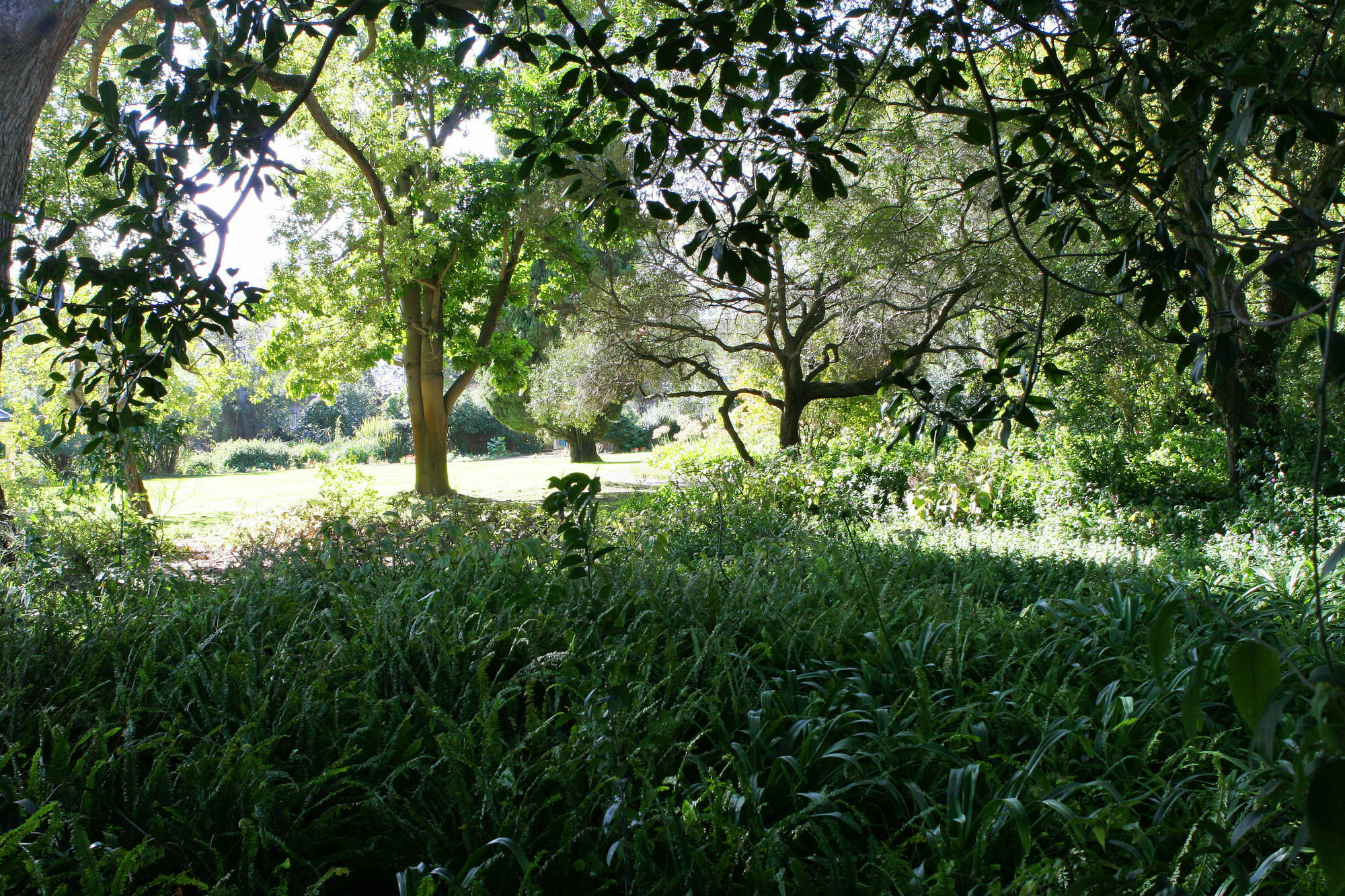 Avemore Wag N Bietjie No 1 Stellenbosch Exteriér fotografie