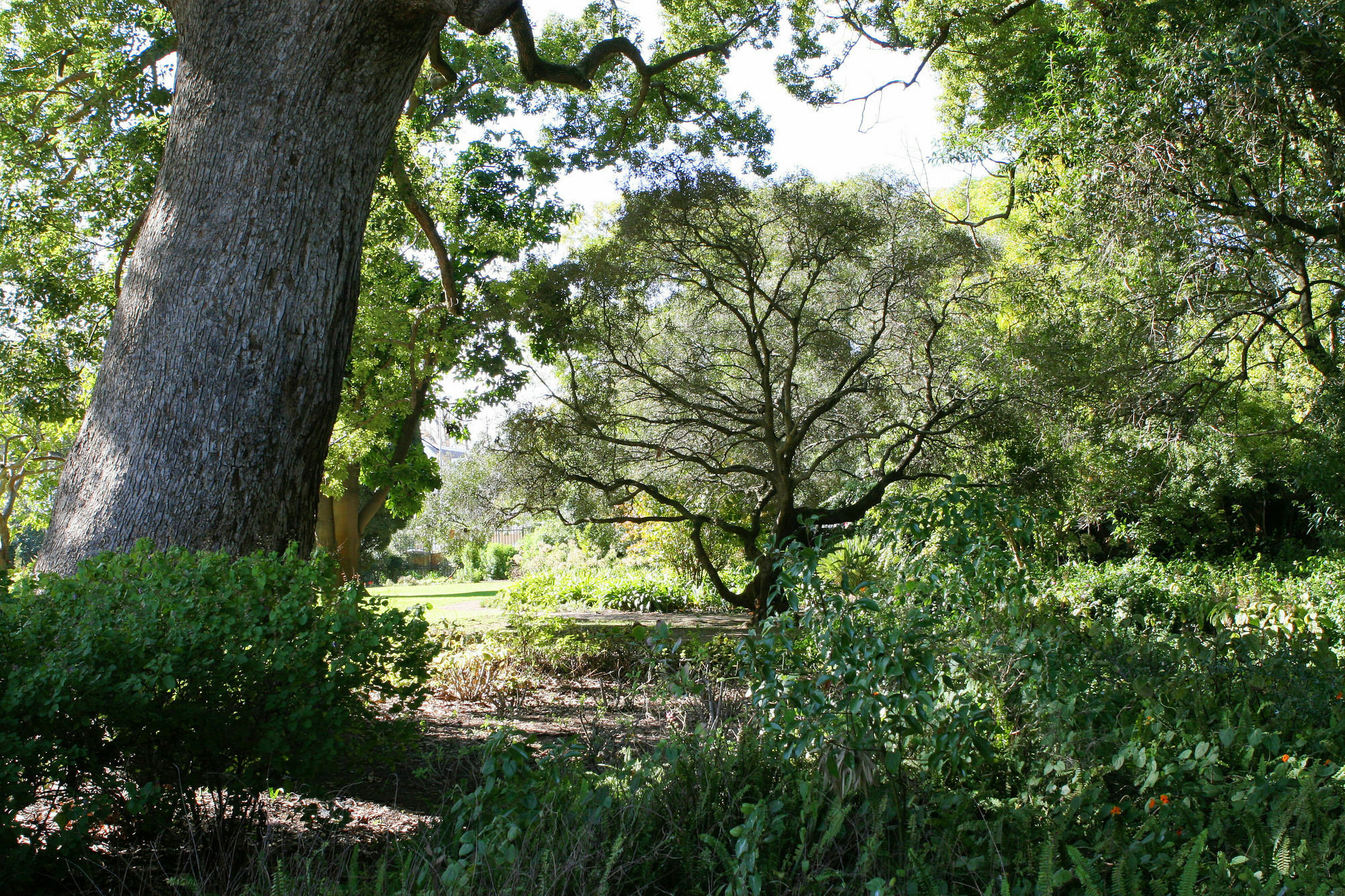Avemore Wag N Bietjie No 1 Stellenbosch Exteriér fotografie