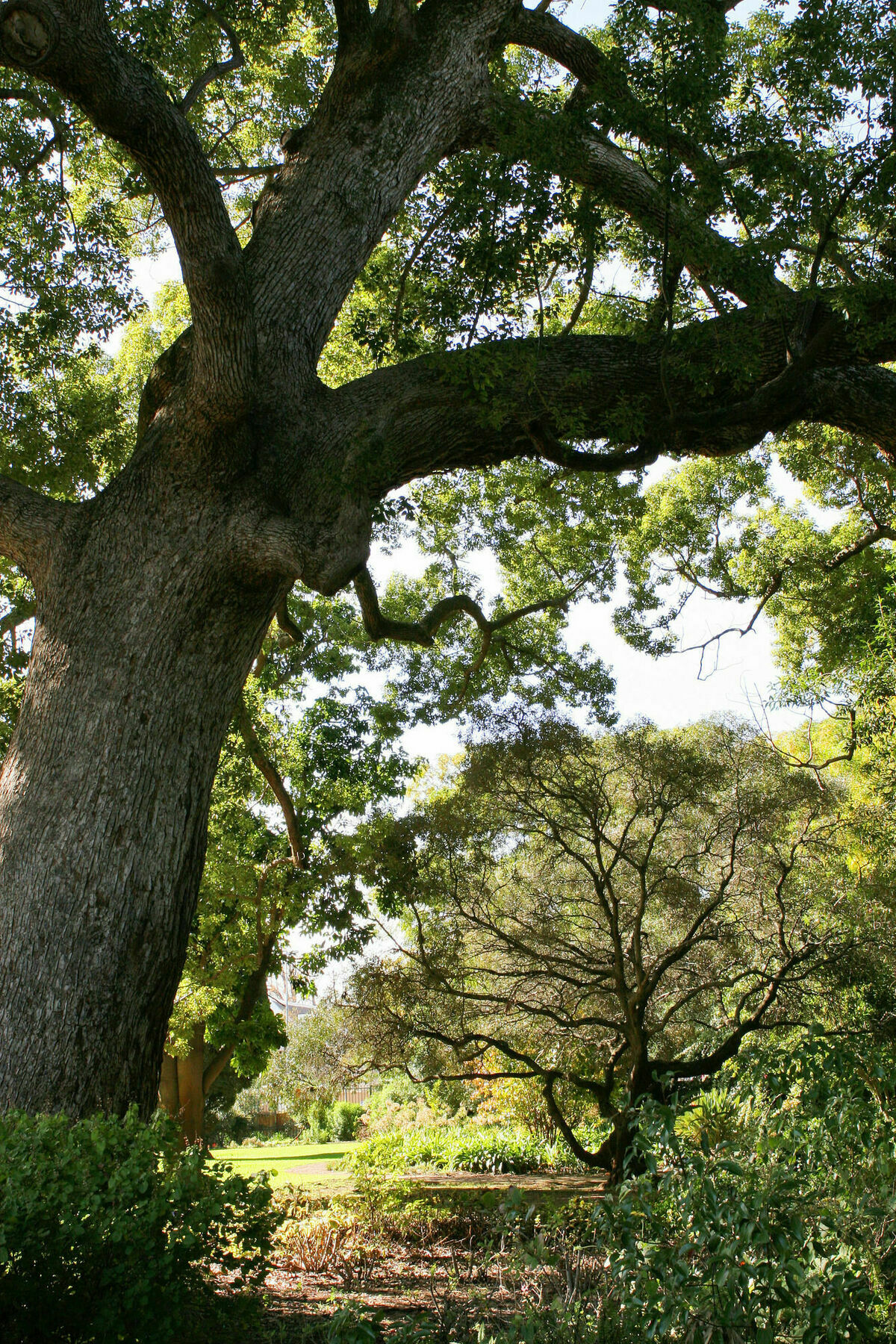 Avemore Wag N Bietjie No 1 Stellenbosch Exteriér fotografie